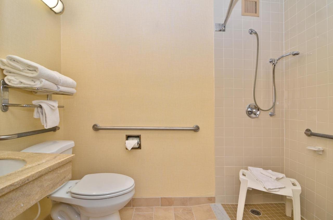 King Room Pet Friendly or Non-Smoking,1157599176:JPEG